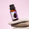Essences Bulgaria Organic Patchouli Essential Oil 15 ml | Pogostemon