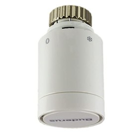 Buderus Thermostatic Head BH1-W0 with Threaded Connection M 30 x 1.5 mm Fixed Sensor and Zero Position 7738306437