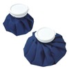 (TUISKU) Ice Bag, Set of 2, S, M, Icing Bag,