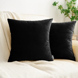 HWY 50 Black Velvet Throw Pillow Covers 16x16 Inch, Pack of 2 Soft Cozy Solid Decorative Luxury Cushion Cases for Couch Sofa Bed Living Room Bedroom