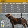OneTigris Dog Support Harness for Back Legs, Dog Lift Sling