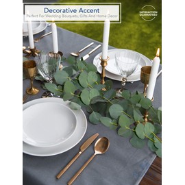 Royal Imports Artificial Silver Dollar Eucalyptus Vines, Long Greenery Leaves for Rustic Decor, Wedding Bouquet, Party, Wreath, Arch, Table Centerpiece, 2 Pcs