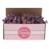 Nips Hard Candy Bulk in Box (Assorted Flavors) Pack of