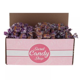 Nips Hard Candy Bulk in Box (Assorted Flavors) Pack of 25, 50, or 100 - 100