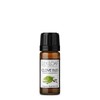Lily & Loaf Clove Bud Organic Essential Oil (Eugenia caryophyllata)