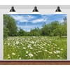 CORFOTO 5x3ft Fabric White Daisies Field Backdrop Daisy Flower Background