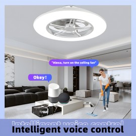 BAYSQUIRREL Alexa WiFi Low Profile Ceiling Fan with Light Flush Mount Enclosed Ceiling Fan 22" LED Dimmable Bladeless Ceiling Fans with Google Assistant/App Control,6 Speed Dimmable LED-RGB Lights