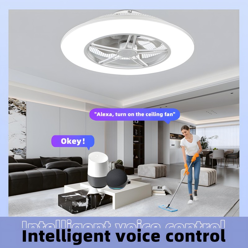 BAYSQUIRREL Alexa WiFi Low Profile Ceiling Fan with Light Flush