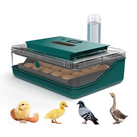 Ovatt 25 Eggs Incubator Digital Poultry Hatcher Machine with Automatic Egg Turning, Temperature & Humidity Control and Egg Candler, for Hatching Chicken, Duck, Quail, Goose Eggs