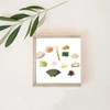 Fabulous Wooden Box - Ramen Toppings Food Japanese Kitchen (11