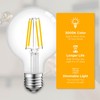 Hudson 6W Edison LED Light Bulb - G25 Globe, 4-Pack,