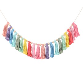 LOSOUR Tassel Garland-Boho Rainbow Tassel Wall Hanging Decor for Baby Shower Decorations, Classroom Decor, Party Decorations, Nursery Decor, Girls Room Decor,Office Birthday Decoration (Rainbow)
