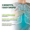 DetoxenNATURE Lobelia Extract Drops for Lung Cleanse & Detox, Respiratory