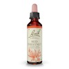 Bach Red Chestnut (Rote Kastanie) - 20 ml