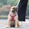 HuggieGems Adjustable Dog Harness Vest and Leash Set for Small,
