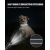 Joytale Small Dog Collar, Reflective and Adjustable Nylon Collar with