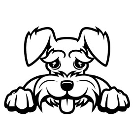 STICKER DAD Schnauzer Peeking V1 Vinyl Decal by StickerDad® - Size: 5", Color: Reflective Black - Windows, Walls, Bumpers, Laptop, Lockers, etc.