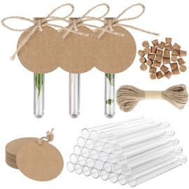 30 Pcs Test Tubes with Corks, Plastic Test Tubes with Labels, 12 x 100mm Clear Plastic Vials for Plants, Reusable Plastic Test Tubes, Test Bottle with Lids for Candy, DIY Craft, Favours Decors