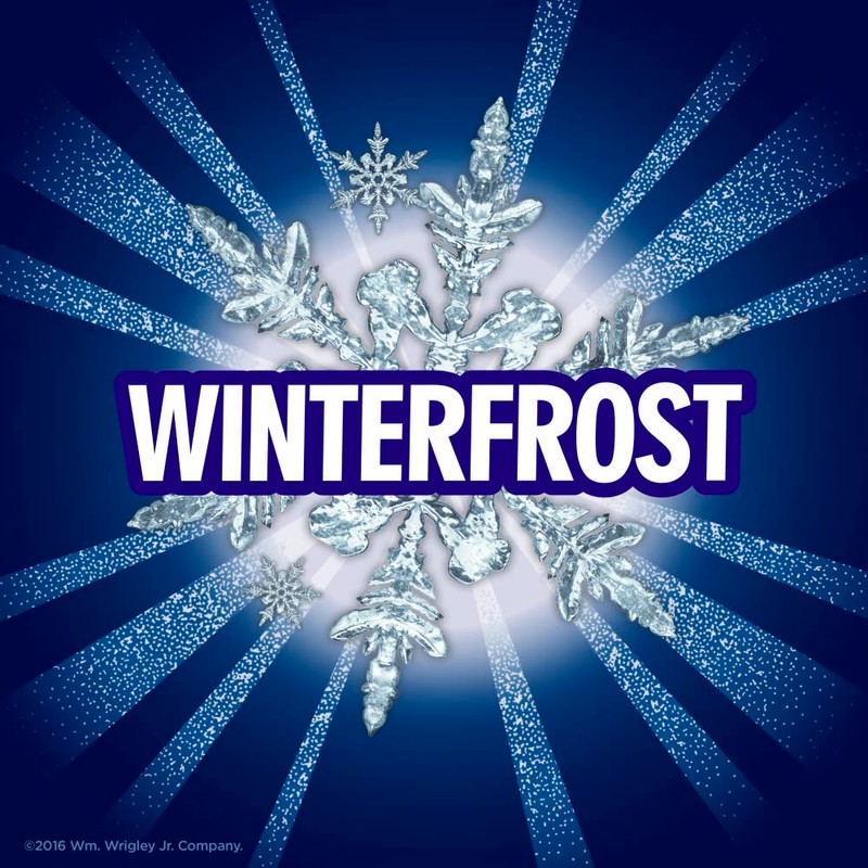 ECLIPSE Winter Frost Sugar-Free Chewing Gum - 8 Packs, 18-Count