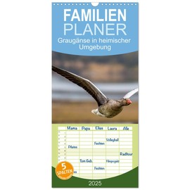 Familienplaner 2025 - Graugänse in heimischer Umgebung mit 5 Spalten (Wandkalender, 21 cm x 45 cm), CALVENDO