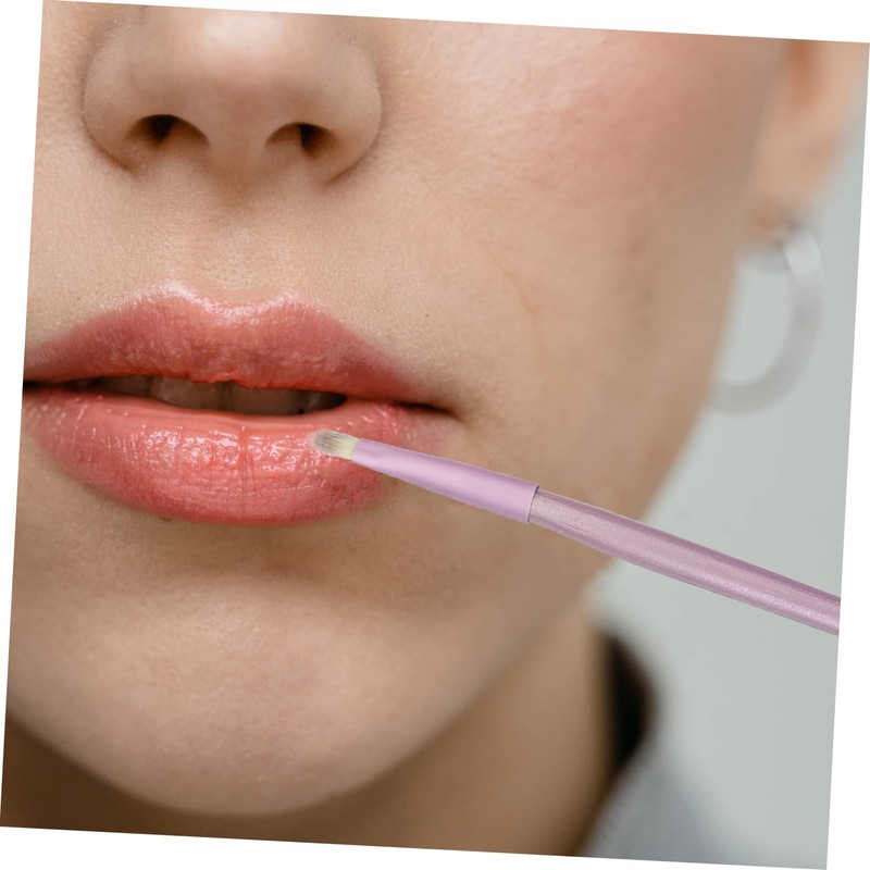 Healeved 5-piece Eye Shadow Brush Set Case Makeup Brush for