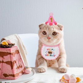 PTDECOR Cat Birthday Party Supplies, Girl Cat Birthday Hat with Numbers Birthday Cat Bandana Pet Birthday Decorations for Cat Kitten Birthday Outfits (Pink)