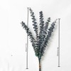 10 Pcs Dried Eucalyptus Stems for Shower, 18 Inch 100%