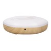 1.5W Small Air Purifier USB Charging Negative Ion Filtration System