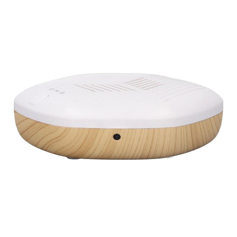 1.5W Small Air Purifier USB Charging Negative Ion Filtration System