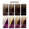 Adore Semi Permanent Hair Color (085 Burgundy Bliss) | Vegan