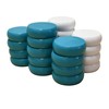 26 White and Light Blue Crokinole Discs - Full Set