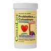 CHILDLIFE ESSENTIALS Probiotics with Colostrum - Kids Probiotic Chewables, Maintain