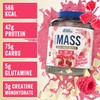 Applied Nutrition Critical Mass Professional Lean Mass Gainer