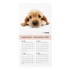 THE DOG 2026 Wall Calendar, Mini Size (American Cocker Spaniel)