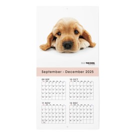 THE DOG 2026 Wall Calendar, Mini Size (American Cocker Spaniel)