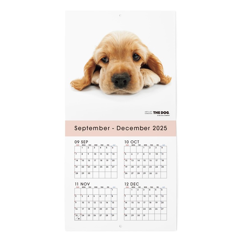 THE DOG 2026 Wall Calendar, Mini Size (American Cocker Spaniel)