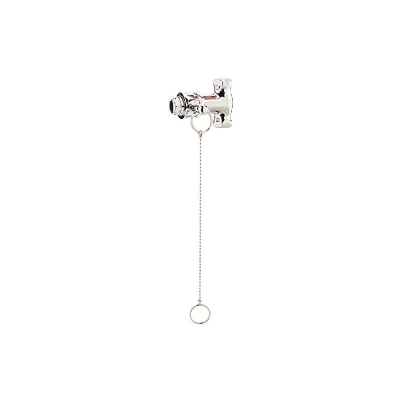 Homewerks 3070-300-CH-B Self-Closing Shower Valve with Pull Chain, Chrome