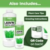 TPS NUTRIENTS Lawn Fertilizer for All Grass and Lawn Types,