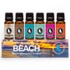 Eternal Essence Oils Eternal Essence Oils Beach Set of 6