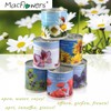 MacFlowers® Cultivation Set Real Marigolds | A Variety with Yellow