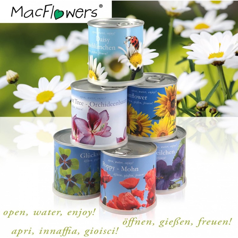 MacFlowers® Cultivation Set Real Marigolds | A Variety with Yellow
