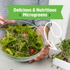 Back to The Roots Organic Microgreens Grow Kit with Ceramic