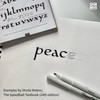 Speedball Elegant Writer Acid-Free Non-Toxic Water Based Calligraphy Marker, Chisel