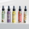 Poop Spray for toilet, Pre Poo Toilet Spray, Bathroom Odor