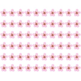 60 piezas de mini flores prensadas secas de narciso para manualidades, álbumes de recortes, resina, joyas, funda para teléfono, marcapáginas, postales, arte de uñas, manualidades, manualidades, manualidades, manualidades, 60 unidades