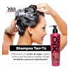 Xiomara Shampoo Ten + Tu Con Argan 12 Beneficios 250ml