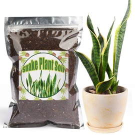 Doter Premium Snake Plant Soil Mix 4qt, Indoor Plants Potting Mix for All Potted Snake Plants, Promote Healthy Growth and Easy Care
