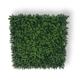 Artificial Boxwood Hedge Panels,Outdoor and Indoor, DIYXBrand 12-Pack