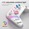 BINBOK GEMINI Switch Controller, Switch Pro Controller for Switch/Switch Lite/Switch