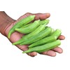 Okra Seeds for Coffee Lady's Finger Bamia Vegetable for Planting